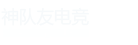 神队友电竞